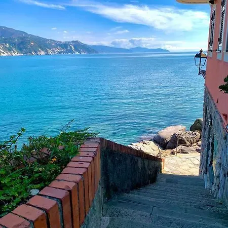 Apartment Casa Pomaro-sul Mare-vicino A Portofino *