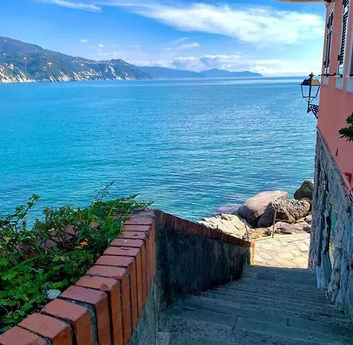 公寓 Casa Pomaro-sul Mare-vicino A Portofino *